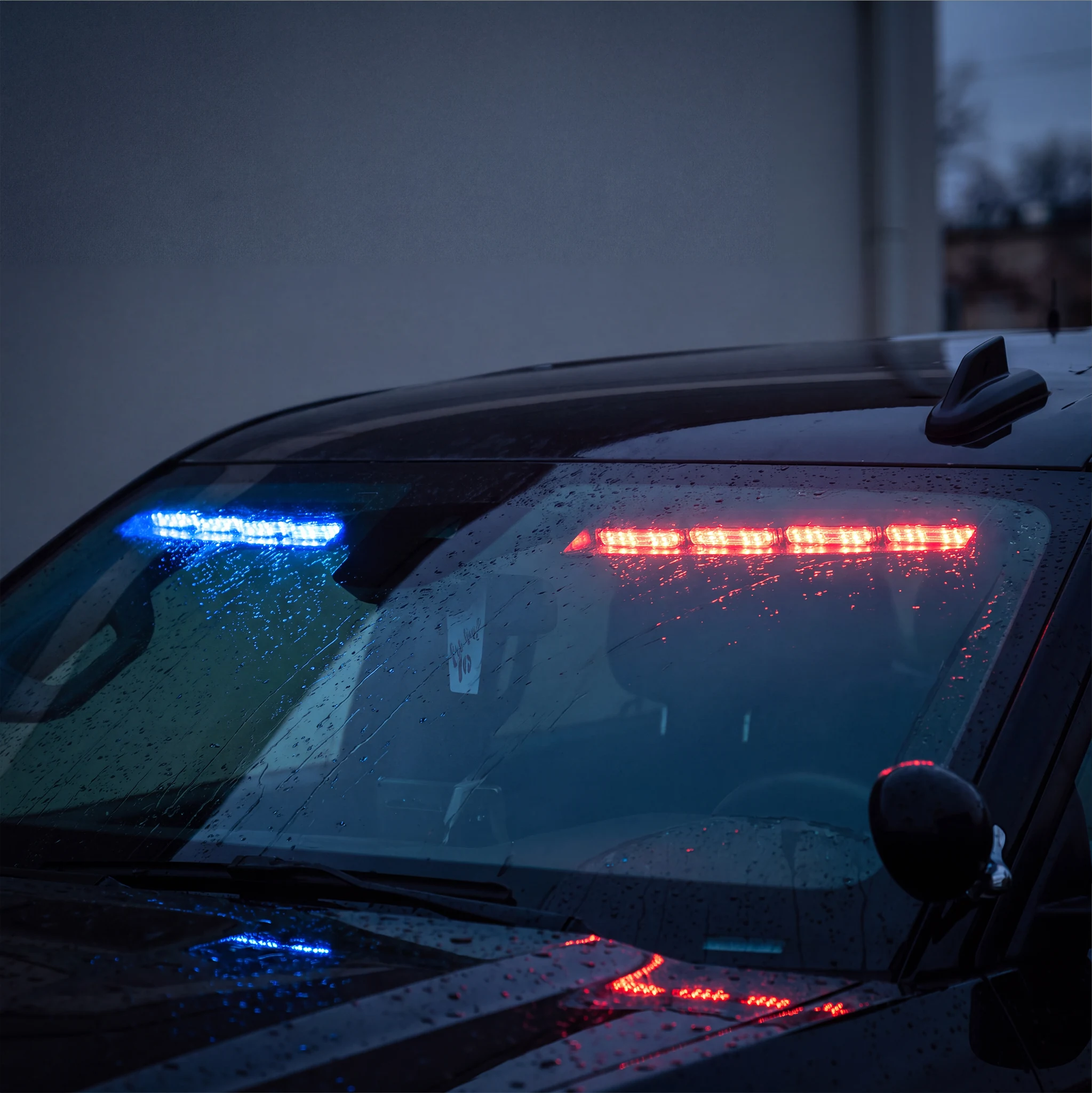 Quantum Interior — installed on the vehicle
