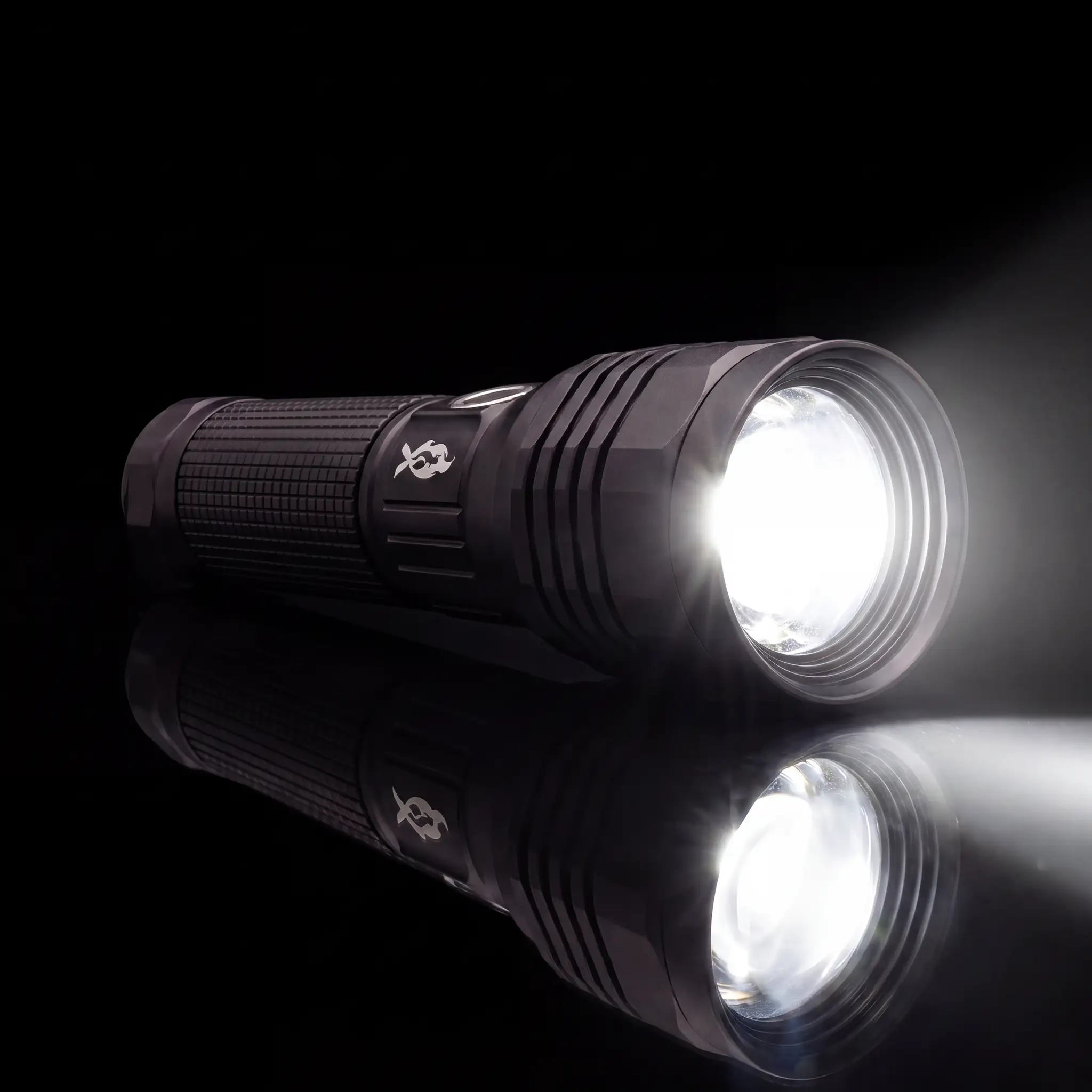 Guardian Flashlight — lit, all five colors