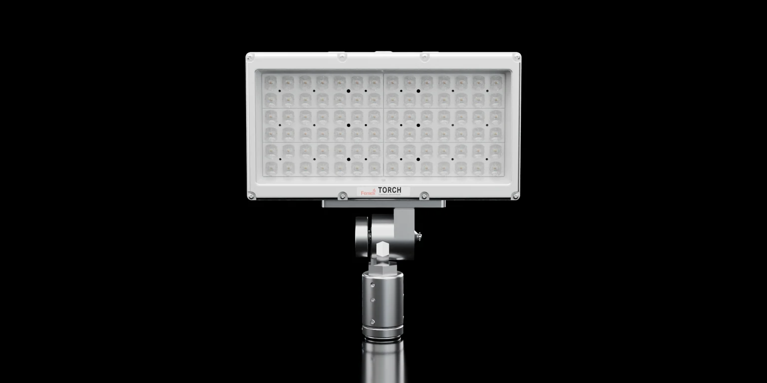 Torch Pole Light, 360 degree view
