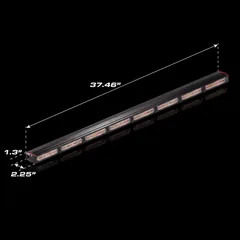 Quantum 800 — dimensions