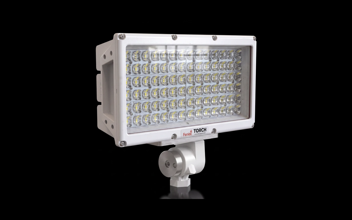 Torch Pole Light