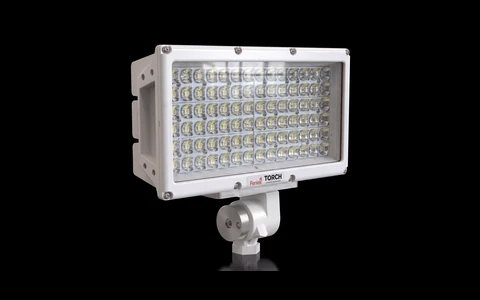 Torch Pole Light